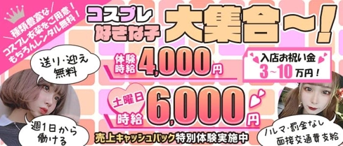 club fairy~フェアリー~【公式求人・体入情報】(藤枝キャバクラ)の求人・体験入店情報