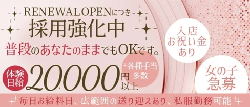 CLUB SWAN(スワン)【公式求人・体入情報】(片町ガールズバー)の求人・体験入店情報