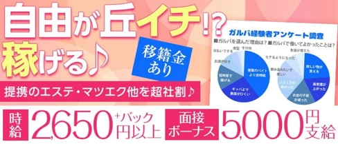 ガールズバー BABEL(バベル)【公式求人・体入情報】(自由が丘ガールズバー)の求人・体験入店情報
