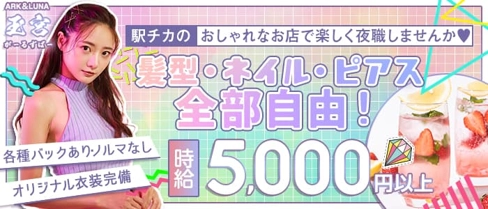 【岐阜】ARK&LUNA 玉宮(アークアンドルナ たまみや)【公式求人・体入情報】(岐阜ガールズバー)の求人・体験入店情報