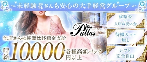 Pallas(パラス)【公式求人・体入情報】(難波キャバクラ)の求人・体験入店情報