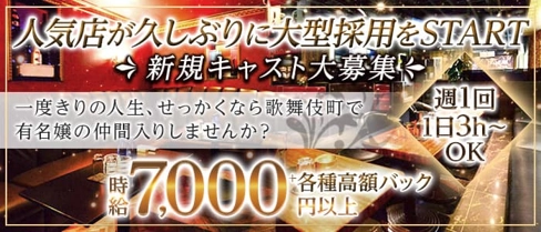 CLUB NOW - クラブ ナウ【公式求人・体入情報】(歌舞伎町キャバクラ)の求人・体験入店情報