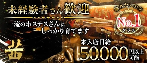 茜 ~CLUB AKANE~(アカネ)【公式求人・体入情報】(六本木クラブ)の求人・体験入店情報