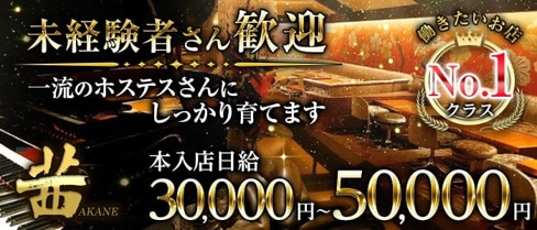 茜 ~CLUB AKANE~(アカネ)【公式求人・体入情報】(六本木クラブ)の求人・体験入店情報
