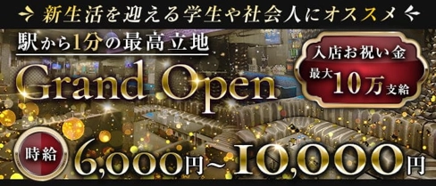 L(エル)【公式体入・求人情報】(本厚木キャバクラ)の求人・体験入店情報