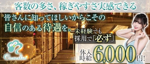 Camelia Bianco(カメリアビアンコ)【公式求人・体入情報】(神田キャバクラ)の求人・体験入店情報