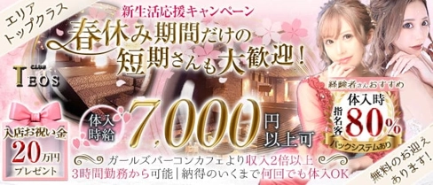 club TEOS(クラブテオス)【公式求人・体入情報】(千葉キャバクラ)の求人・体験入店情報