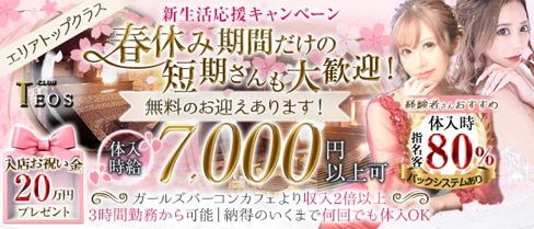 club TEOS(クラブテオス)【公式求人・体入情報】(千葉中央キャバクラ)の求人・体験入店情報