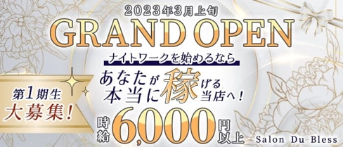 Salon Du Bless(サロンドブレス)【公式求人・体入情報】(北新地ラウンジ)の求人・体験入店情報