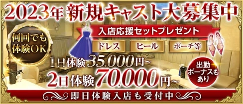 club HARNES(ハーネス)【公式体入・求人情報】(藤沢キャバクラ)の求人・体験入店情報