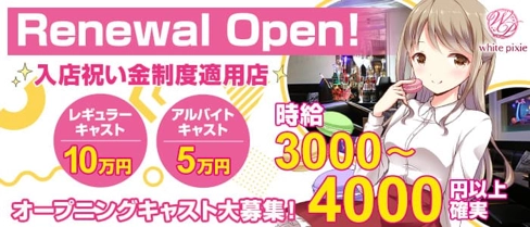 white pixie(ホワイトピクシー)【公式求人・体入情報】(国分町キャバクラ)の求人・体験入店情報
