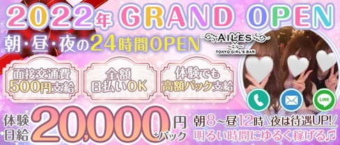 【24時間営業】Girls Bar AILES(ガールズバー エル)【公式求人・体入情報】(錦糸町ガールズバー)の求人・体験入店情報