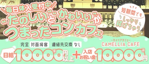 【コンカフェ】CAMELLIA CAFE(カメリアカフェ)【公式求人・体入情報】(流川ガールズバー)の求人・体験入店情報