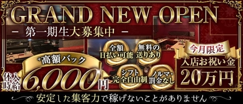 LADY'S BAR LOUNGE fe's (フィス)【公式体入・求人情報】(相模大野キャバクラ)の求人・体験入店情報